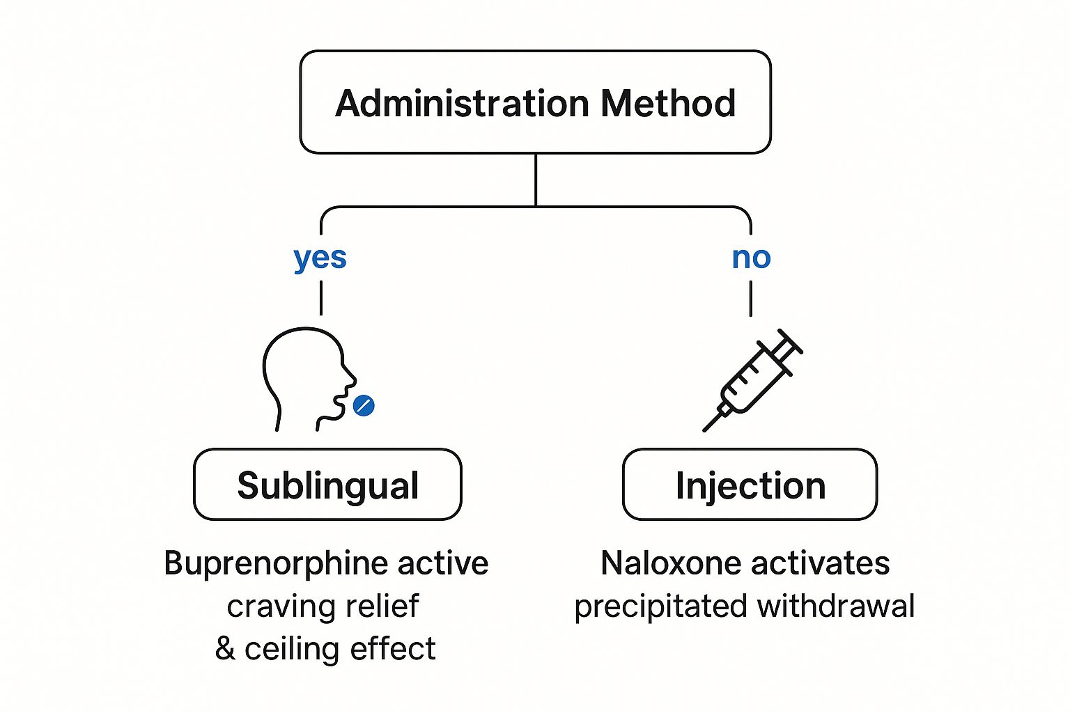 Infographic about difference between suboxone and subutex