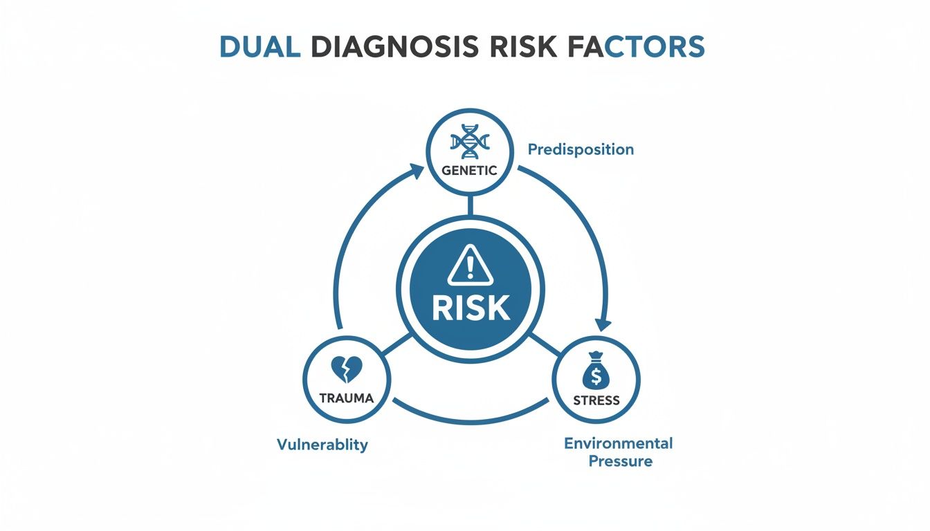 Infographic about mental illness and substance abuse