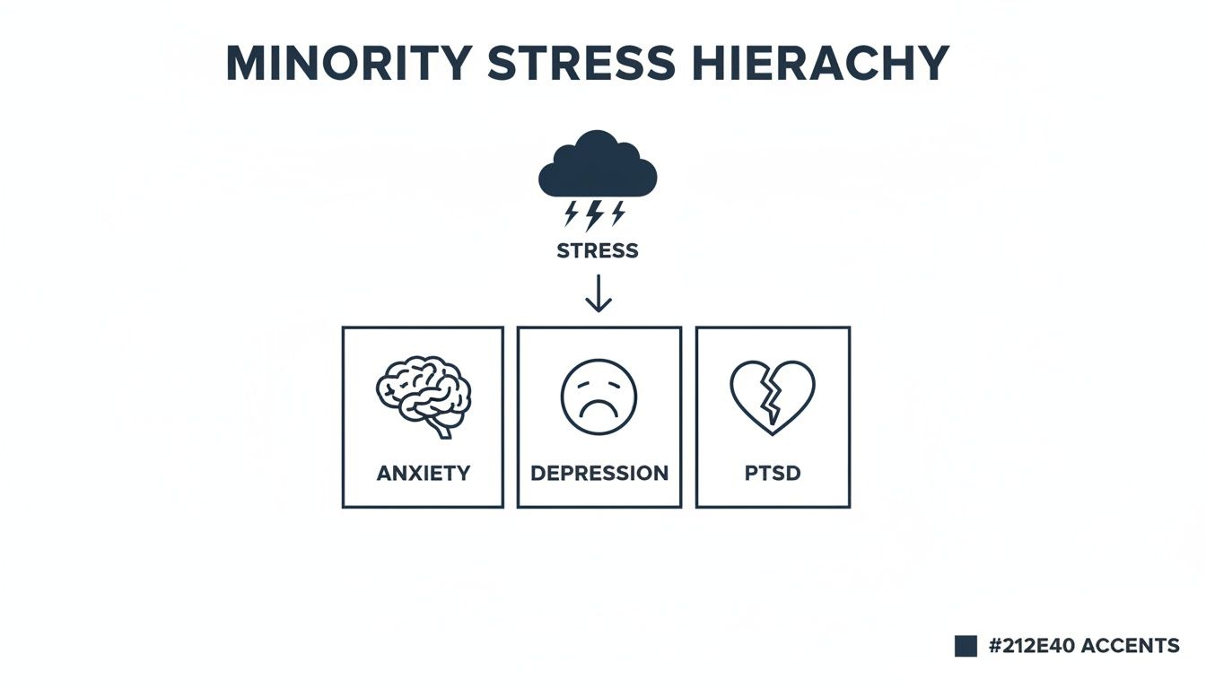 Diagram illustrating the Minority Stress Hierarchy: Stress leads to Anxiety, Depression, and PTSD.