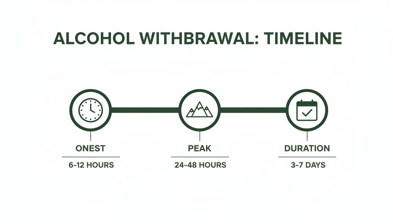 Alcohol withdrawal timeline infographic showing onset at 6-12 hours, peak at 24-48 hours, and total duration of 3-7 days.