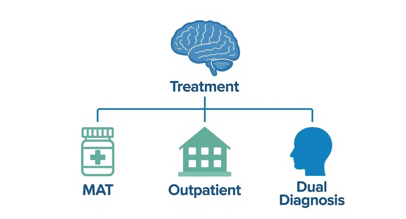 Infographic about opioid addiction treatment options