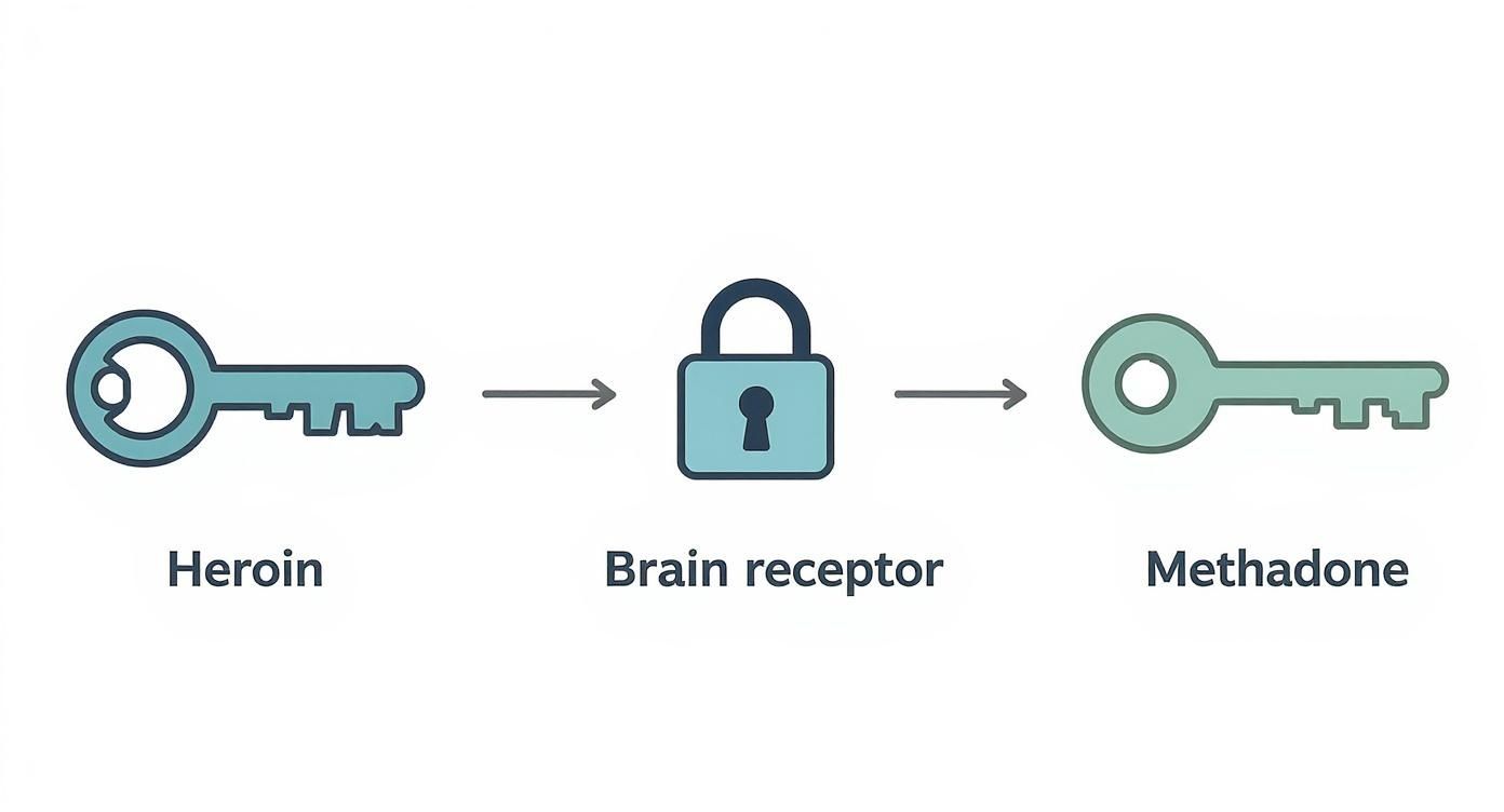 A person receiving medical advice on methadone treatment in a clinic setting.