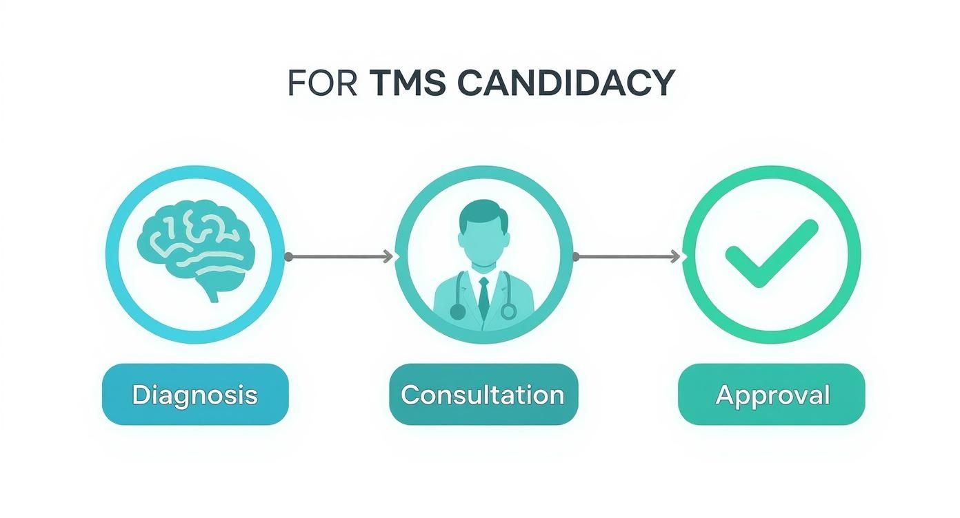 Infographic showing the TMS candidacy process: Diagnosis, Consultation, and Approval.