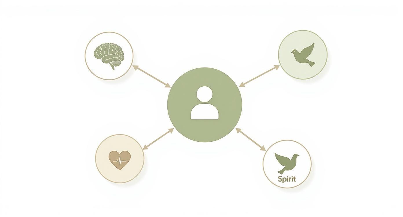 Infographic about holistic addiction treatment