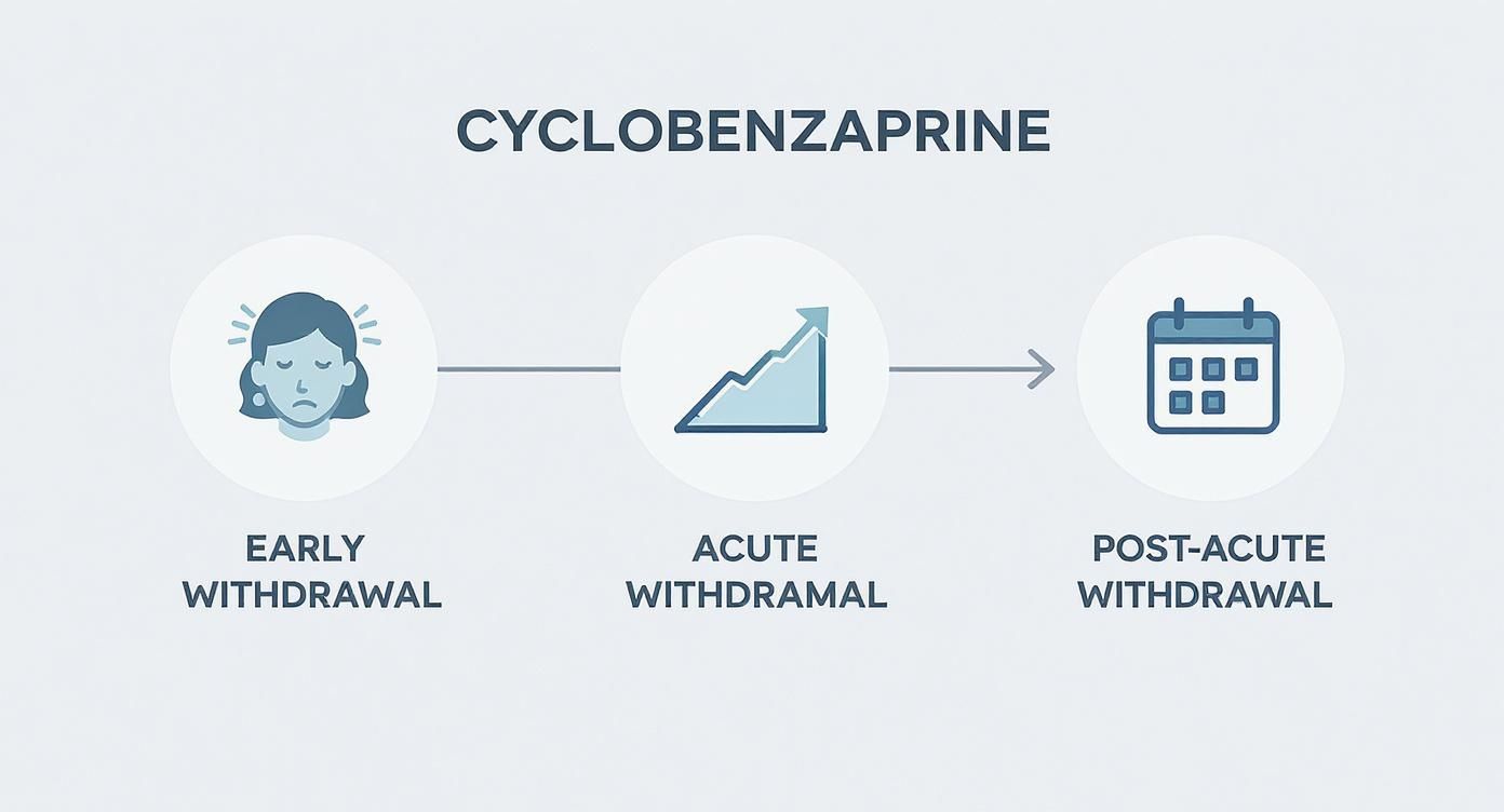 Infographic about cyclobenzaprine withdrawal symptoms