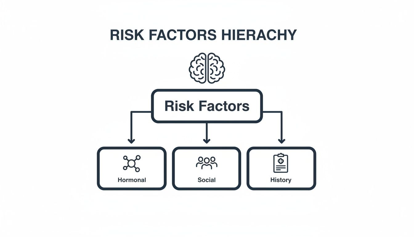 A diagram illustrates a risk factors hierarchy, categorizing factors into hormonal, social, and history.