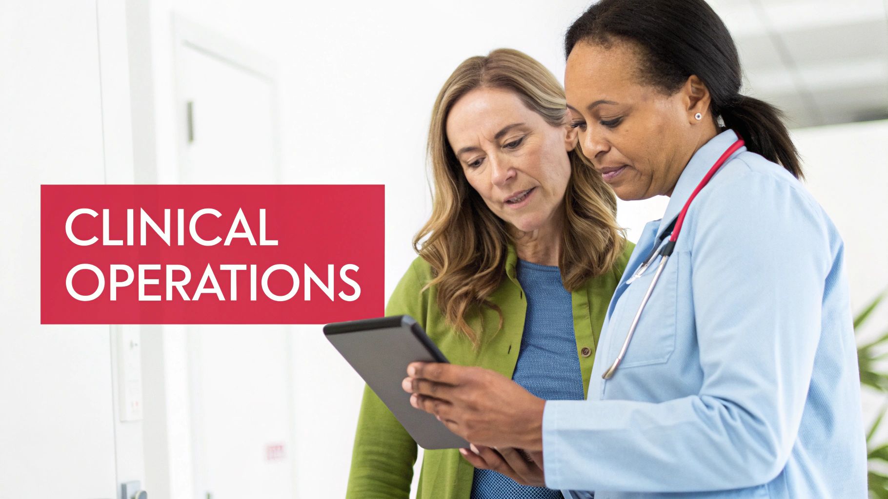Unlock how to start a healthcare business: 7 steps to launch A healthcare professional uses a tablet to review patient data, demonstrating the integration of technology in modern clinical operations.