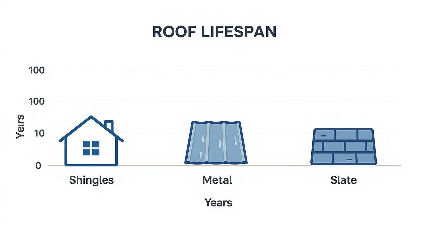 Infographic about how long does a roof normally last