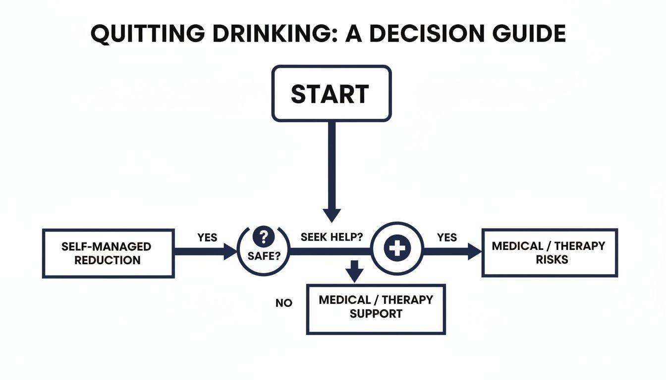 Flowchart decision guide for quitting drinking, covering self-managed reduction, safety, and medical/therapy options.