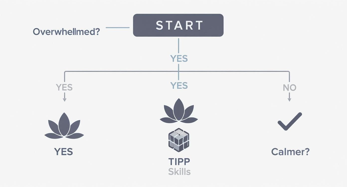 Flowchart illustrating steps to manage feeling overwhelmed, offering paths for calming strategies like meditation and TIPP skills.