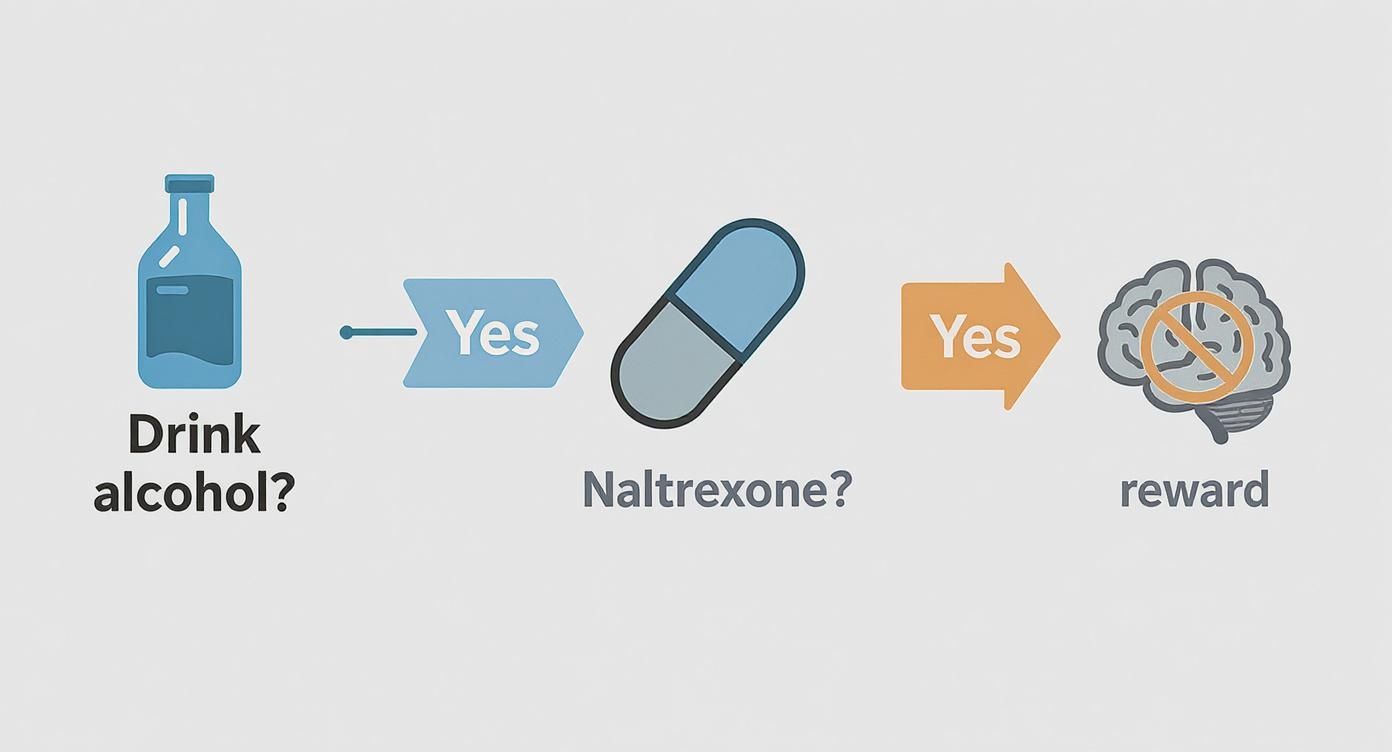 Infographic about naltrexone for alcohol cravings