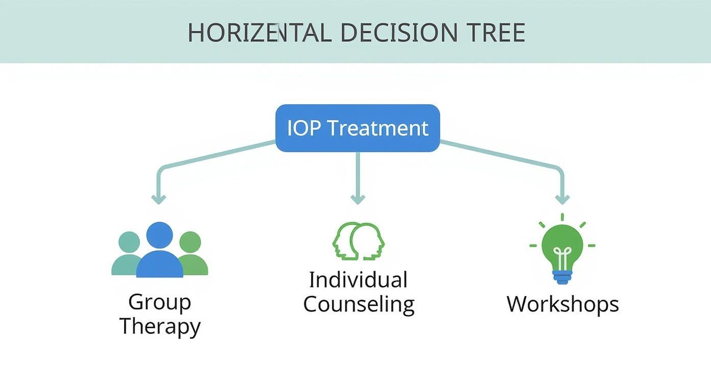 Infographic about intensive outpatient program massachusetts