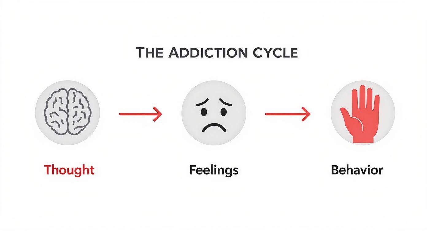 Infographic about cbt in addiction