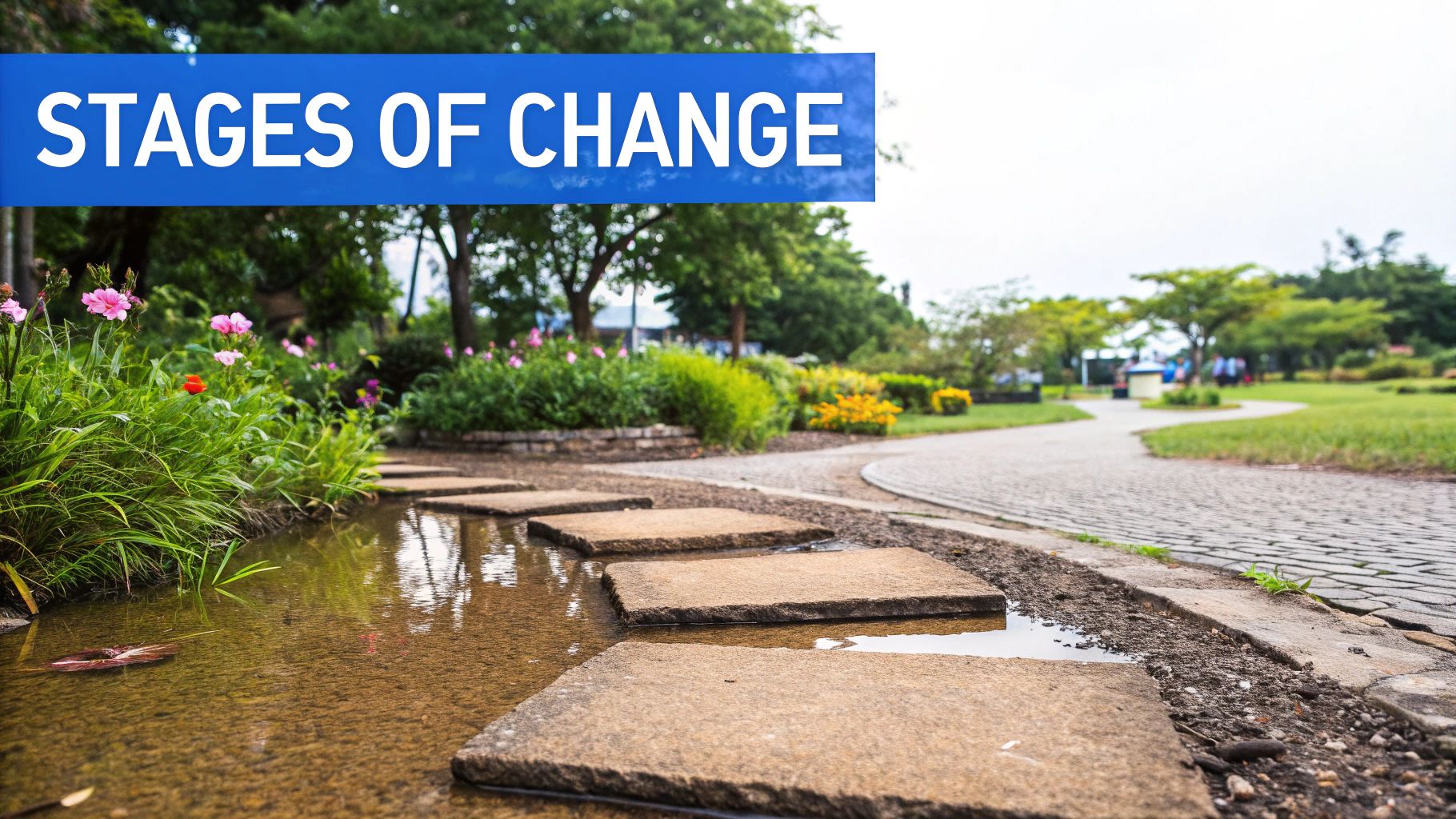 A graph showing positive trends, illustrating the effectiveness of motivational interviewing