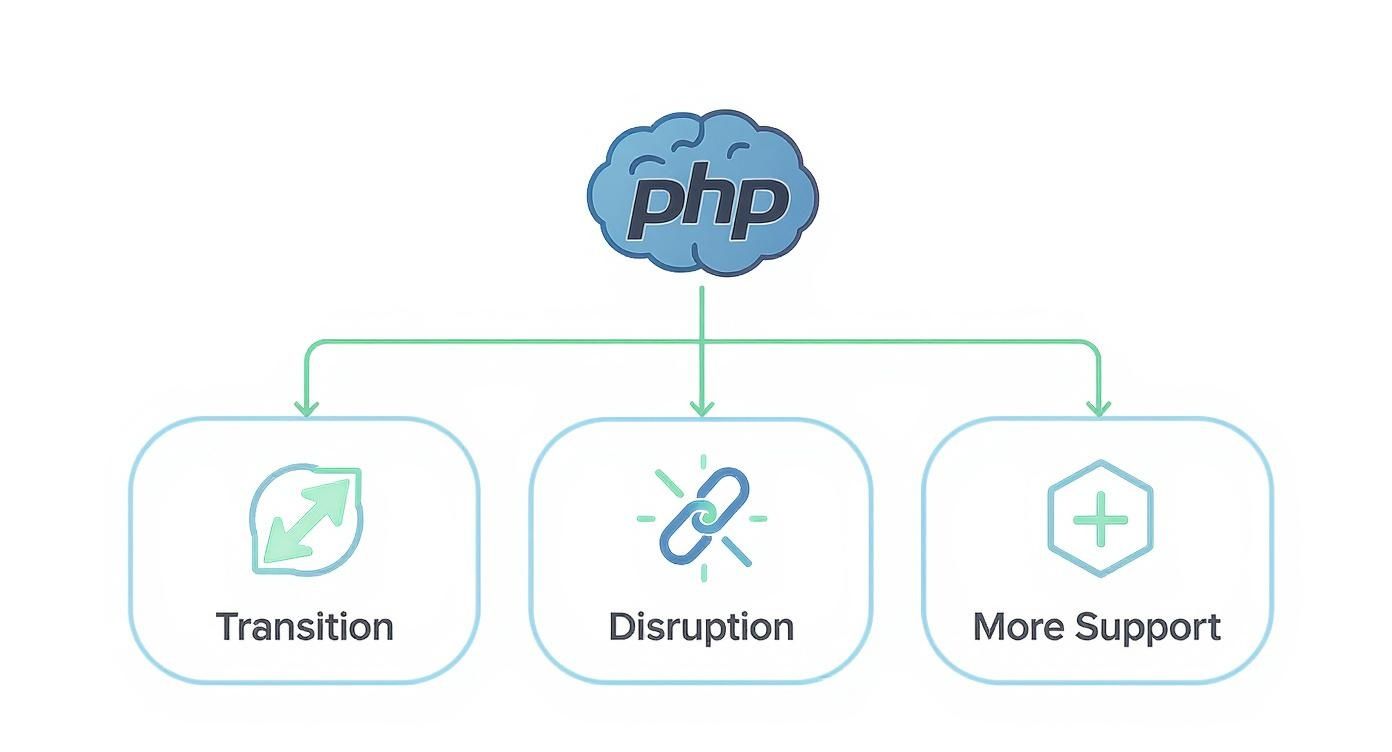 A diagram showing PHP leading to three concepts: Transition, Disruption, and More Support.