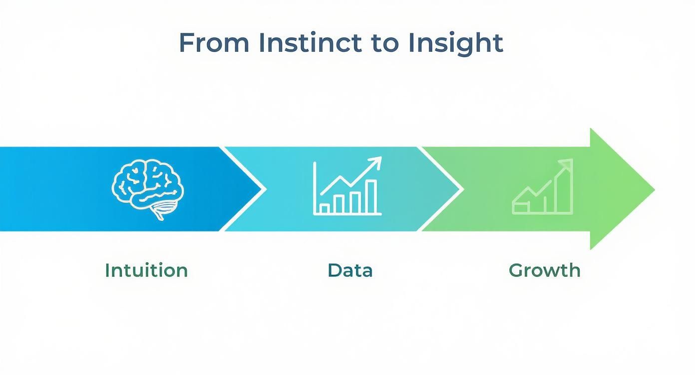An infographic illustrating the progression from intuition to data to growth, leading to insight.