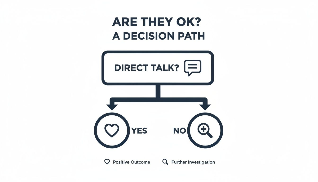 Flowchart outlining a decision path: 'Direct Talk?' leads to a 'Positive Outcome' or 'Further Investigation'.