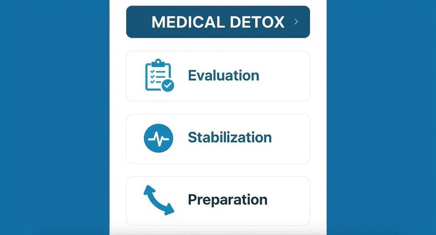 A medical detox program interface displaying steps: Evaluation, Stabilization, and Preparation.