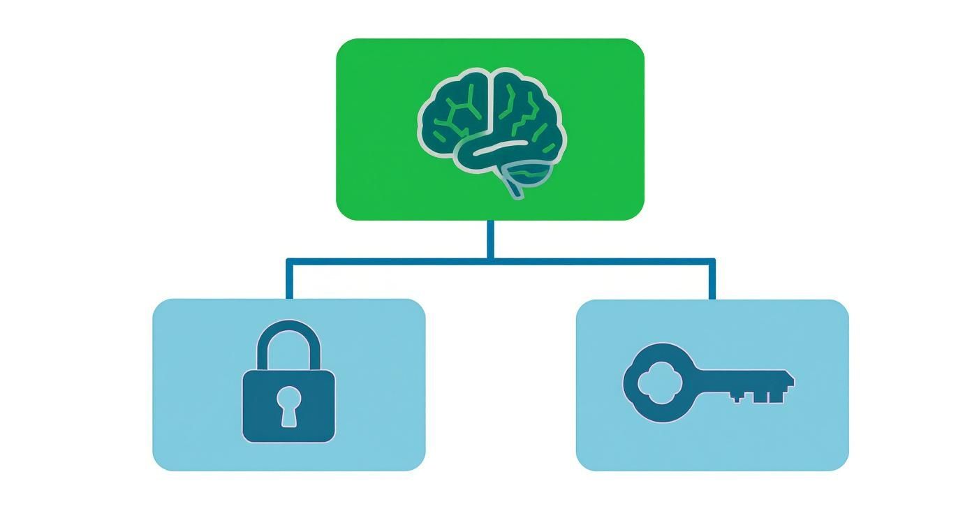 A serene image of a brain with neural pathways lighting up.