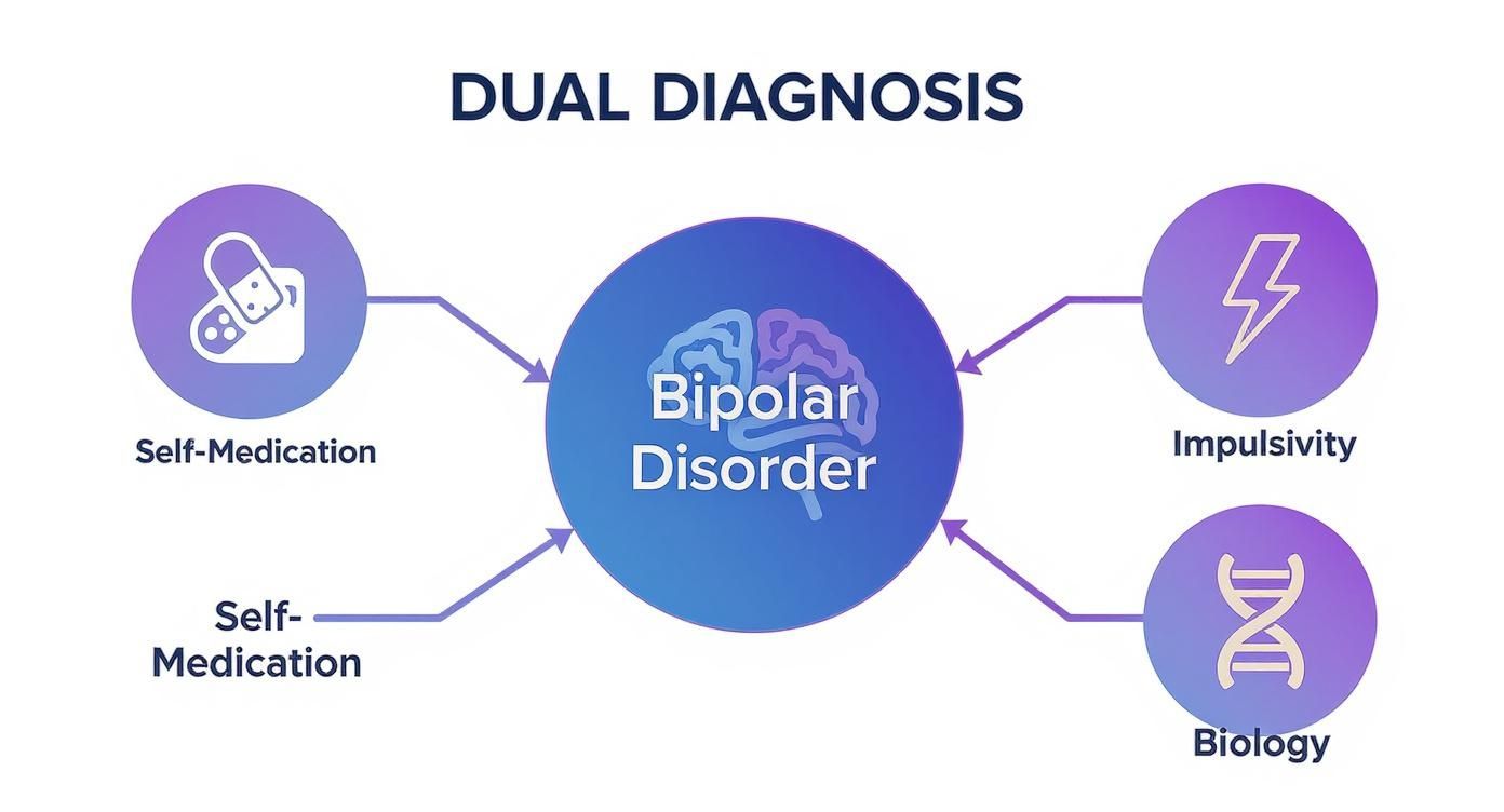 Infographic about substance abuse and bipolar
