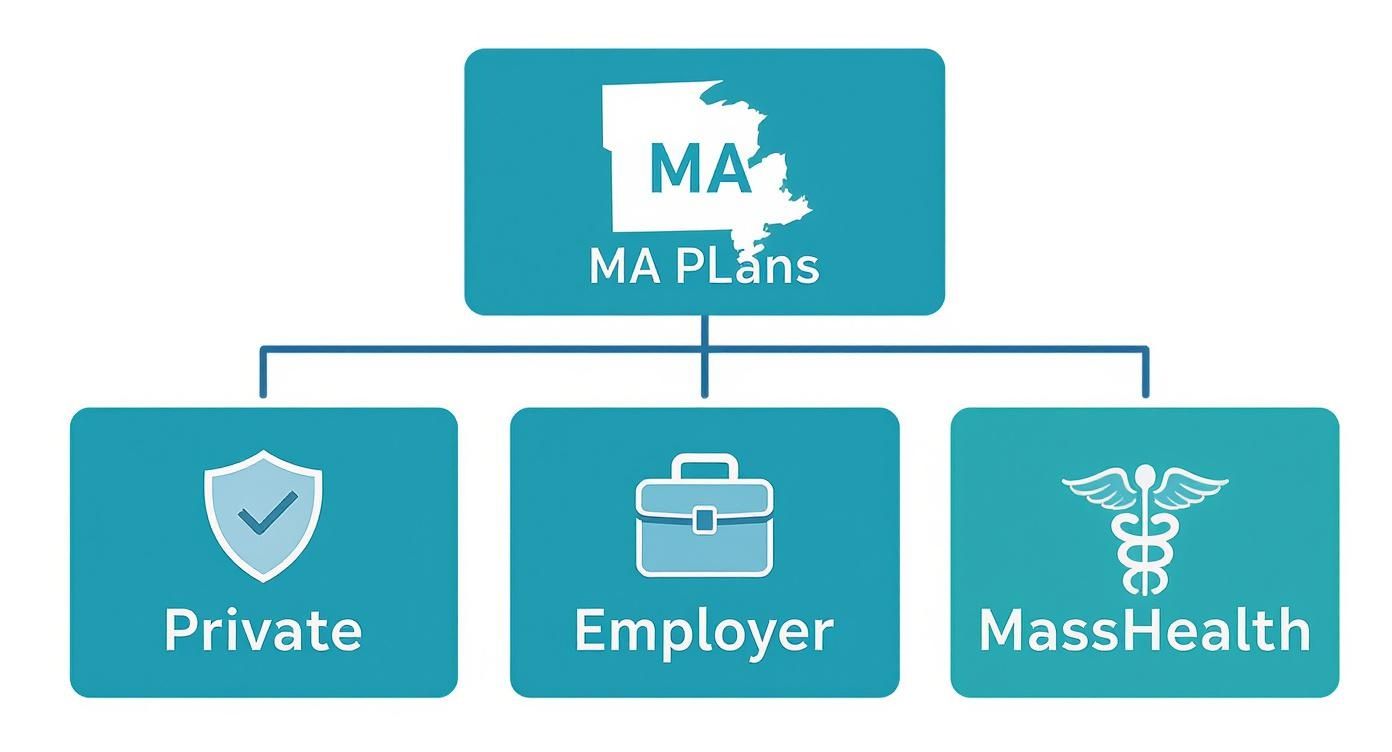 Diagram illustrating Massachusetts health insurance options: Private, Employer, and MassHealth plans.