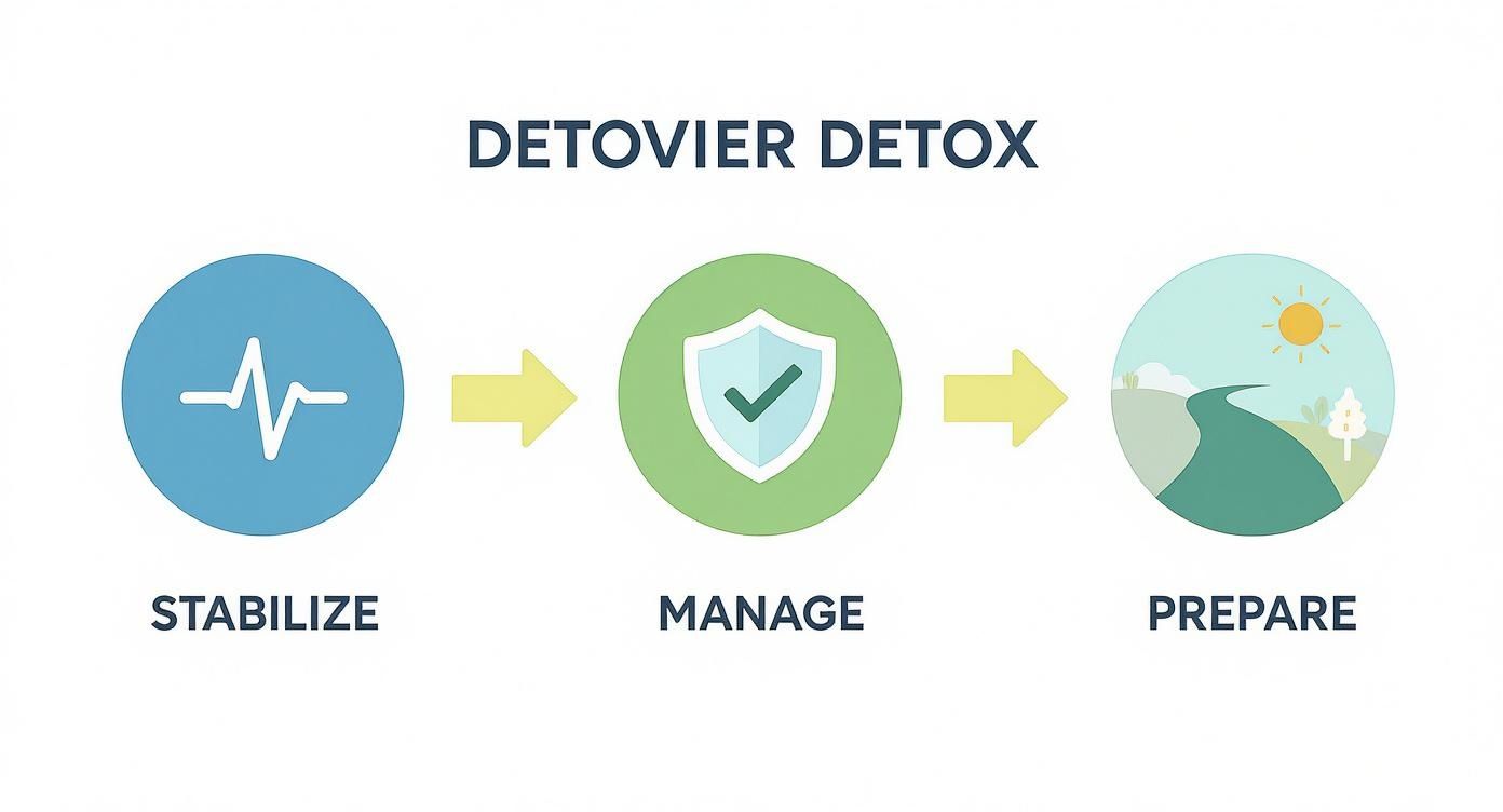 A three-step DETOVIER DETOX process: stabilize, manage, and prepare, shown with icons.