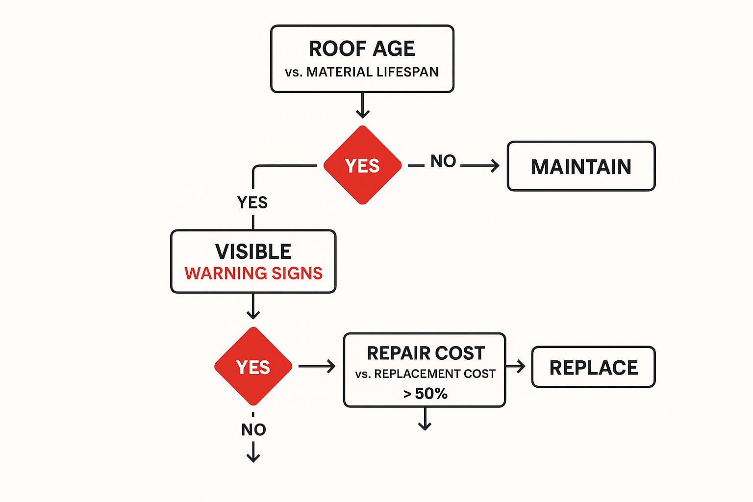 Infographic about when to replace your roof