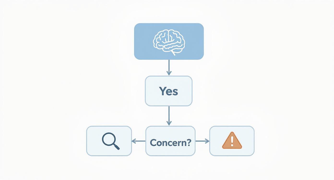 A flowchart showing a decision-making process with brain, 'Yes', 'Concern?', search, and warning symbols.