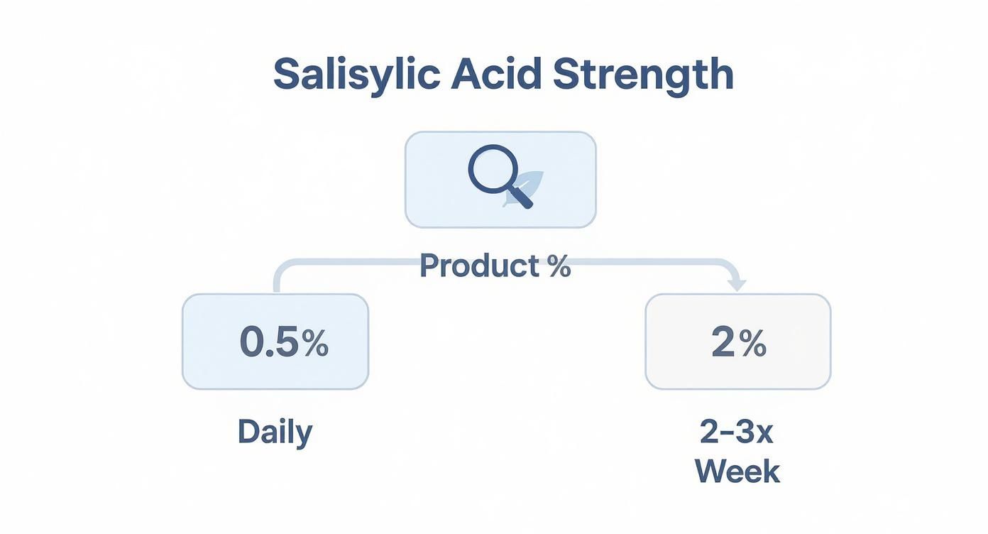 Infographic decision tree showing that 0.5% salicylic acid is good for daily use, while 2% salicylic acid is better for 2-3 times per week.