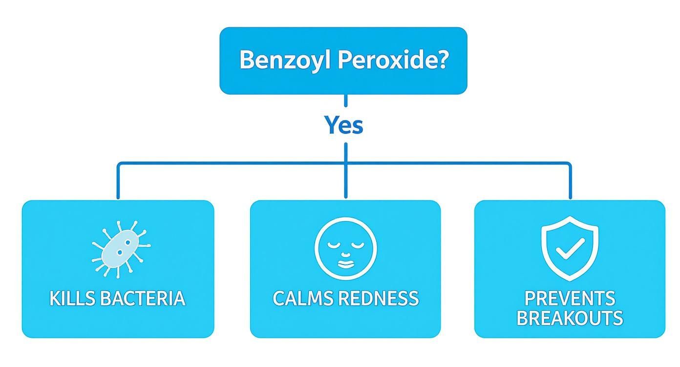 Infographic about best otc benzoyl peroxide