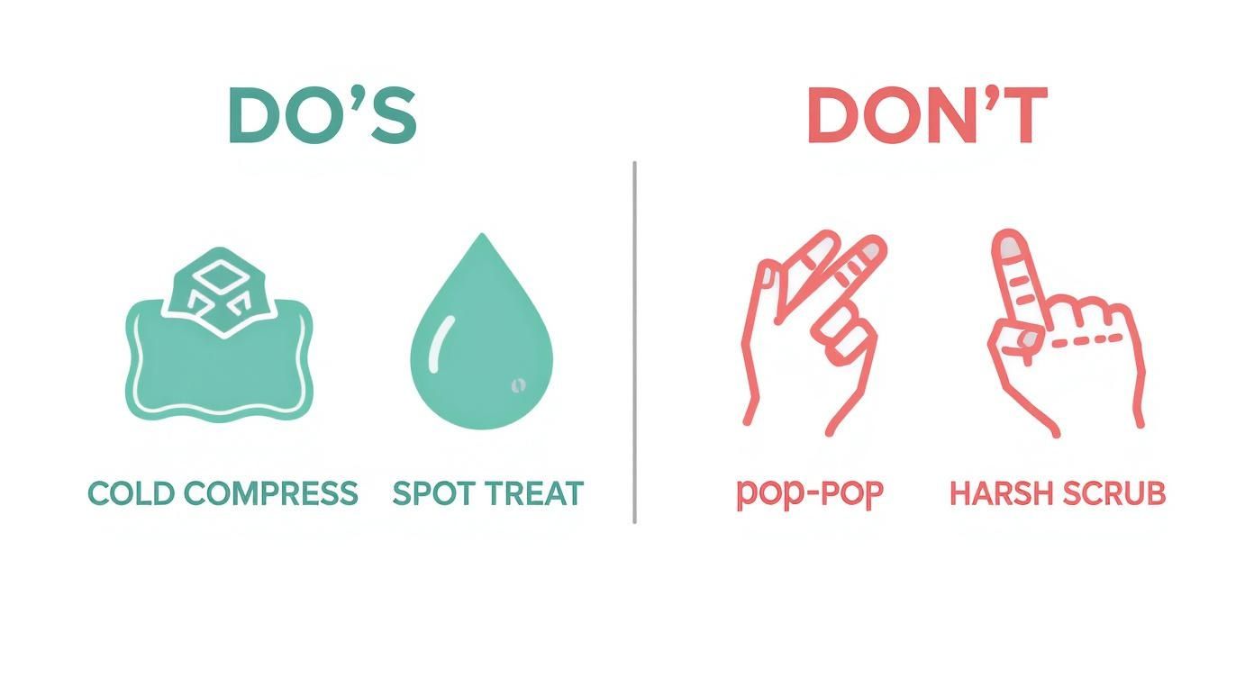 A graphic illustrating do's and don'ts for acne treatment: cold compress, spot treat, avoid popping and harsh scrubbing.