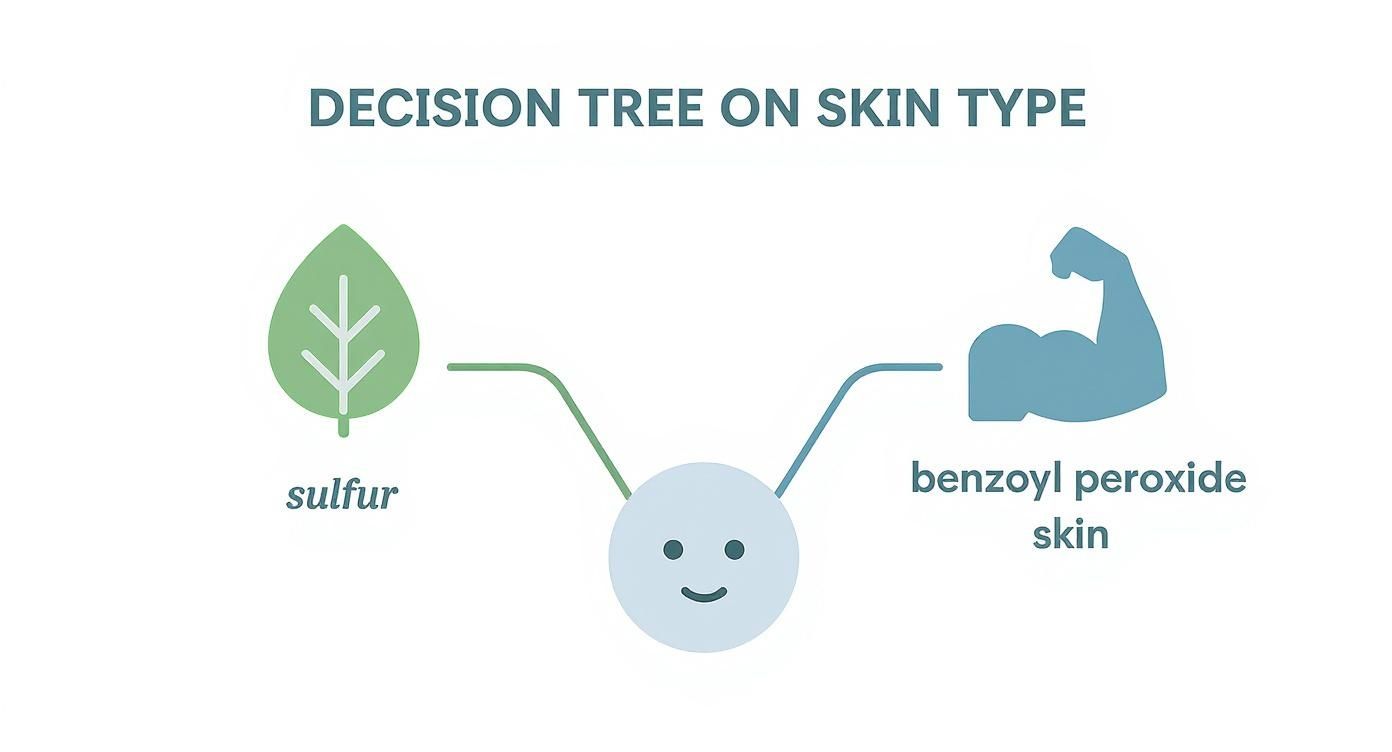 Infographic decision tree showing a face icon leading to two paths: one with a leaf icon labeled "Sensitive Skin" pointing to Sulfur, and another with a muscle arm icon labeled "Resilient Skin" pointing to Benzoyl Peroxide.