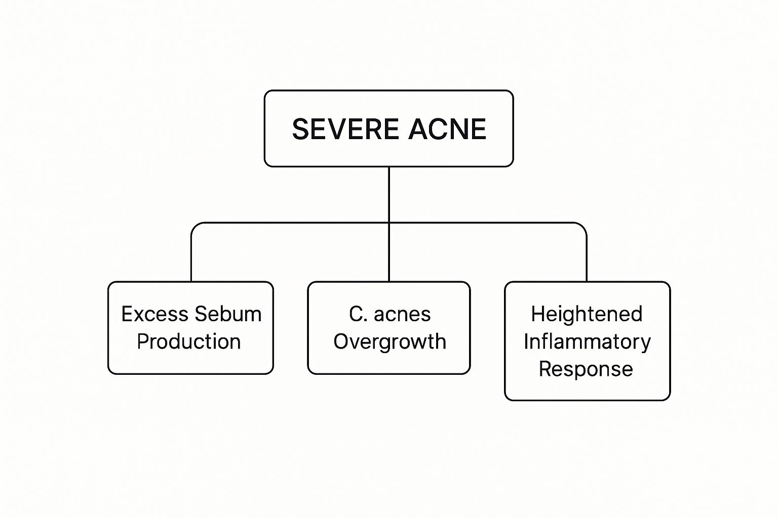 Infographic about what causes severe acne