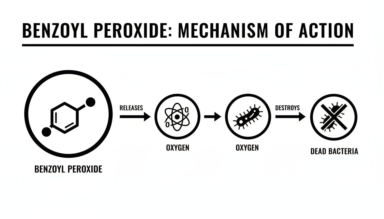 Diagram illustrating benzoyl peroxide's mechanism of action, showing it releases oxygen to destroy bacteria.
