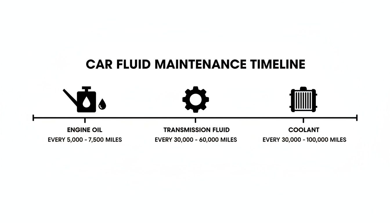 A car fluid maintenance timeline illustrating recommended intervals for engine oil, transmission fluid, and coolant.