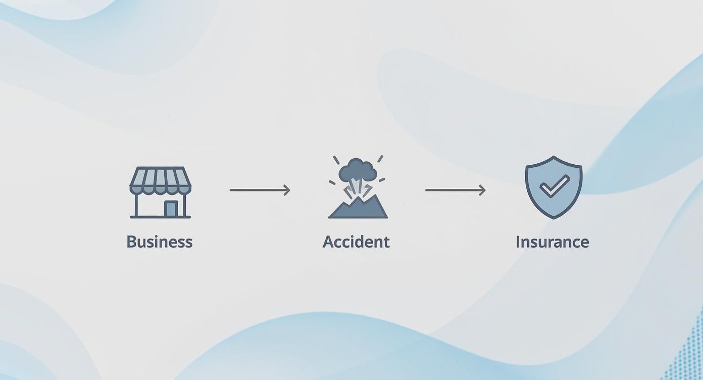 Infographic about seguros de responsabilidad civil