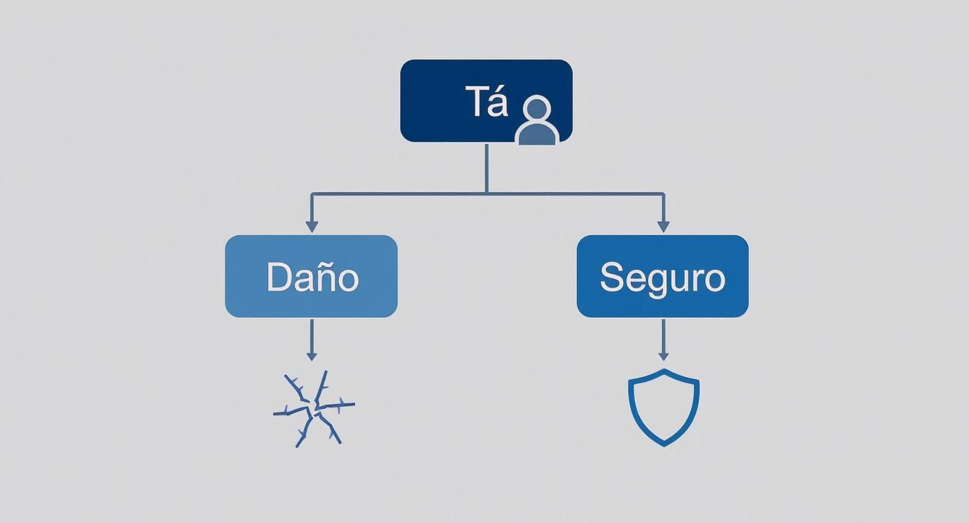 Diagrama que ilustra la relación entre un individuo, el daño potencial y la protección del seguro con sus símbolos.