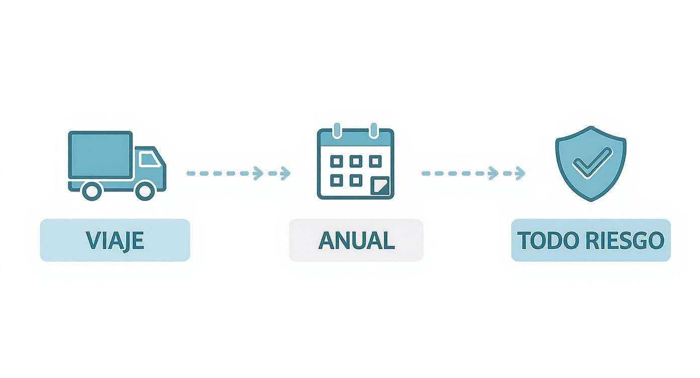 Infographic about seguro de carga