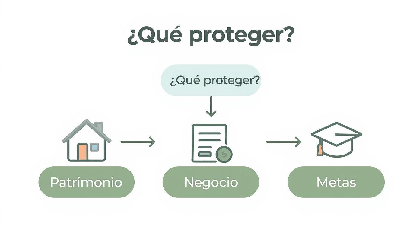 Infographic about tipos de coberturas de seguros