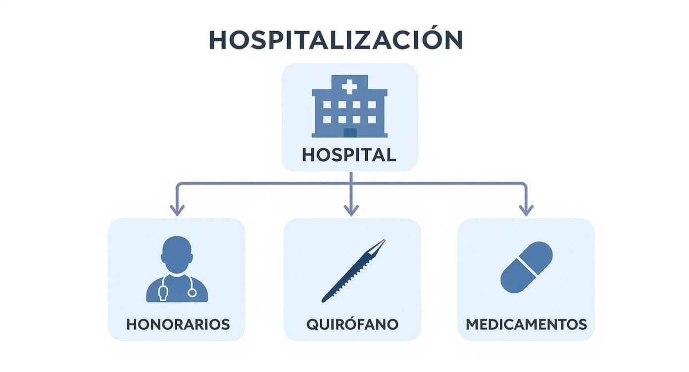 Diagrama que ilustra los componentes principales de una hospitalización: hospital, honorarios médicos, quirófano y medicamentos.