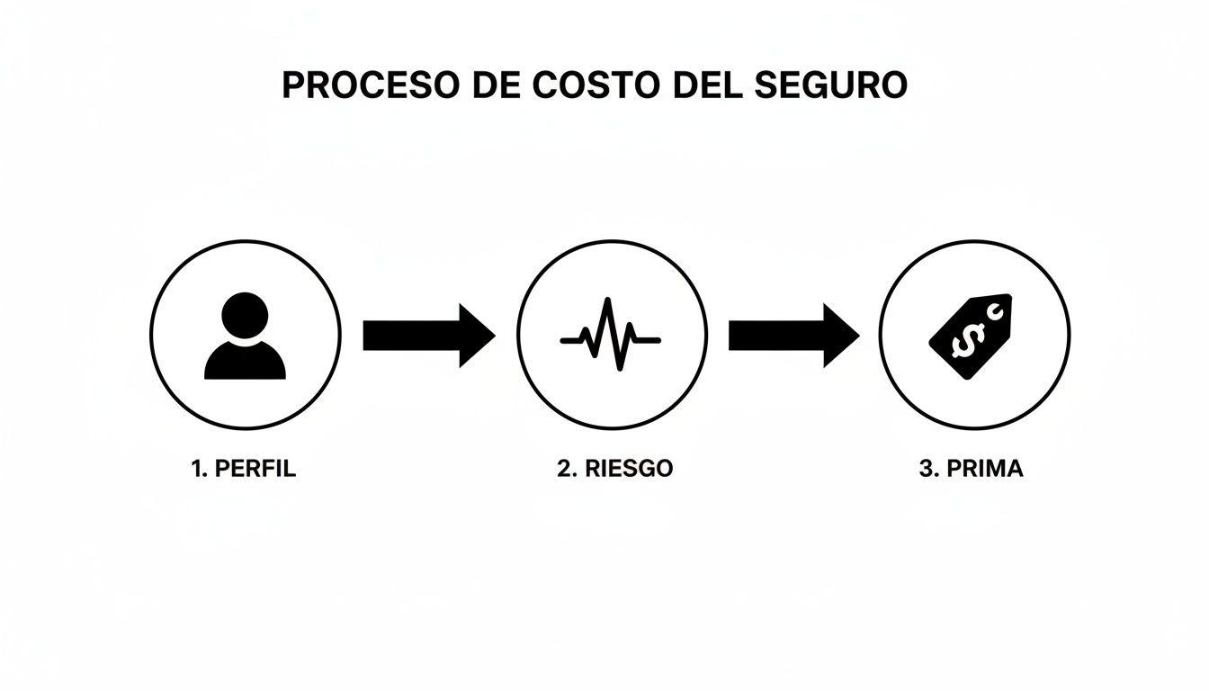 Diagrama de flujo que ilustra el proceso del costo del seguro: perfil, riesgo y cálculo de la prima.