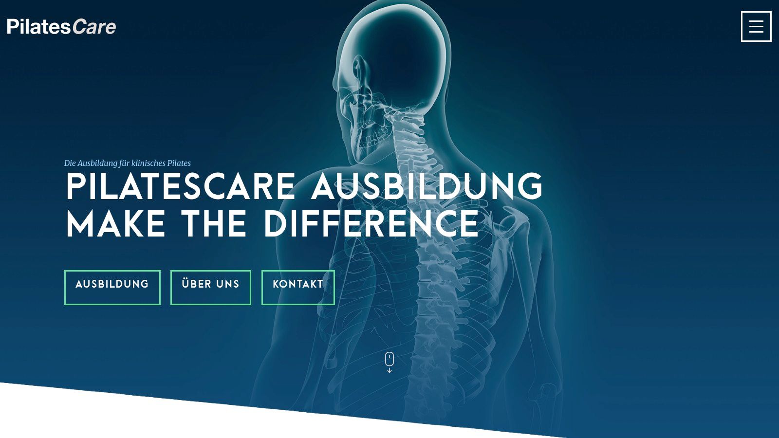 Illustration der Wirbelsäule im Kontext von Pilates bei PilatesCare