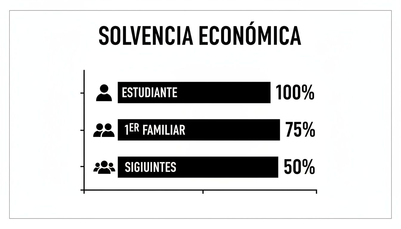 Gráfico de barras sobre solvencia económica que muestra porcentajes para estudiantes y familiares.