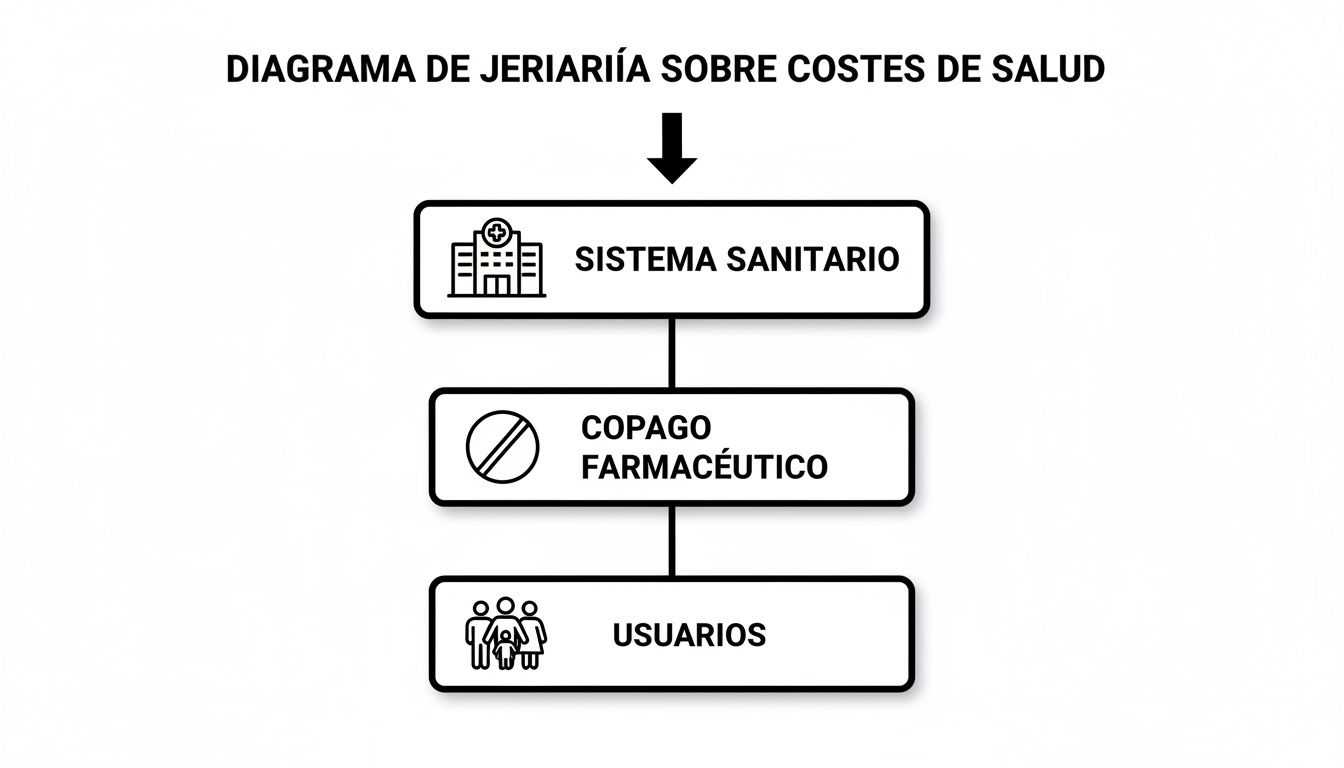 Diagrama jerárquico que ilustra los costes de salud, mostrando el sistema sanitario, el copago farmacéutico y los usuarios.