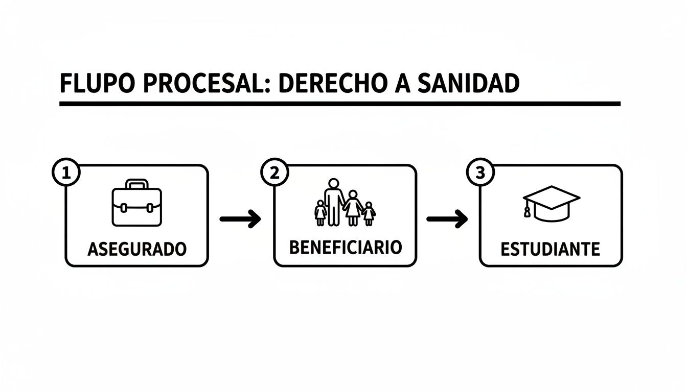 Diagrama de flujo que ilustra el proceso del derecho a la sanidad, mostrando roles de asegurado, beneficiario y estudiante.