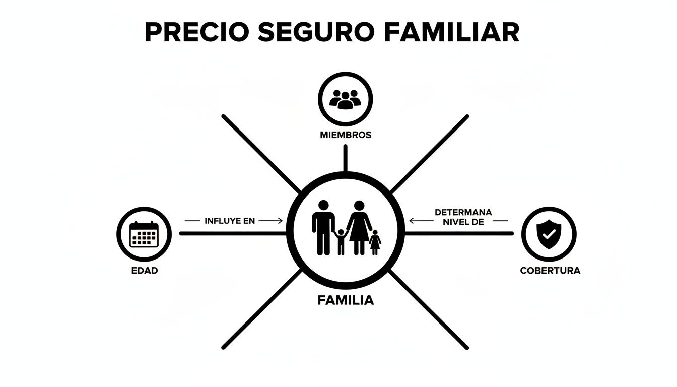 Diagrama que ilustra los factores clave que determinan el precio del seguro familiar: edad, miembros y cobertura.