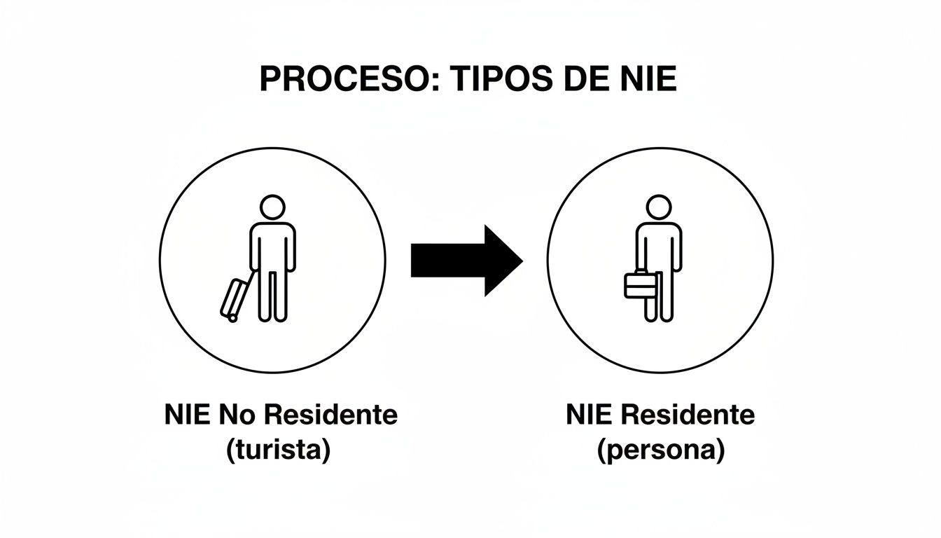 Guía definitiva: cómo obtener nie en españa en pocos pasos 2 Diagrama que ilustra el proceso y los tipos de NIE: de no residente (turista) a residente (persona) en España.