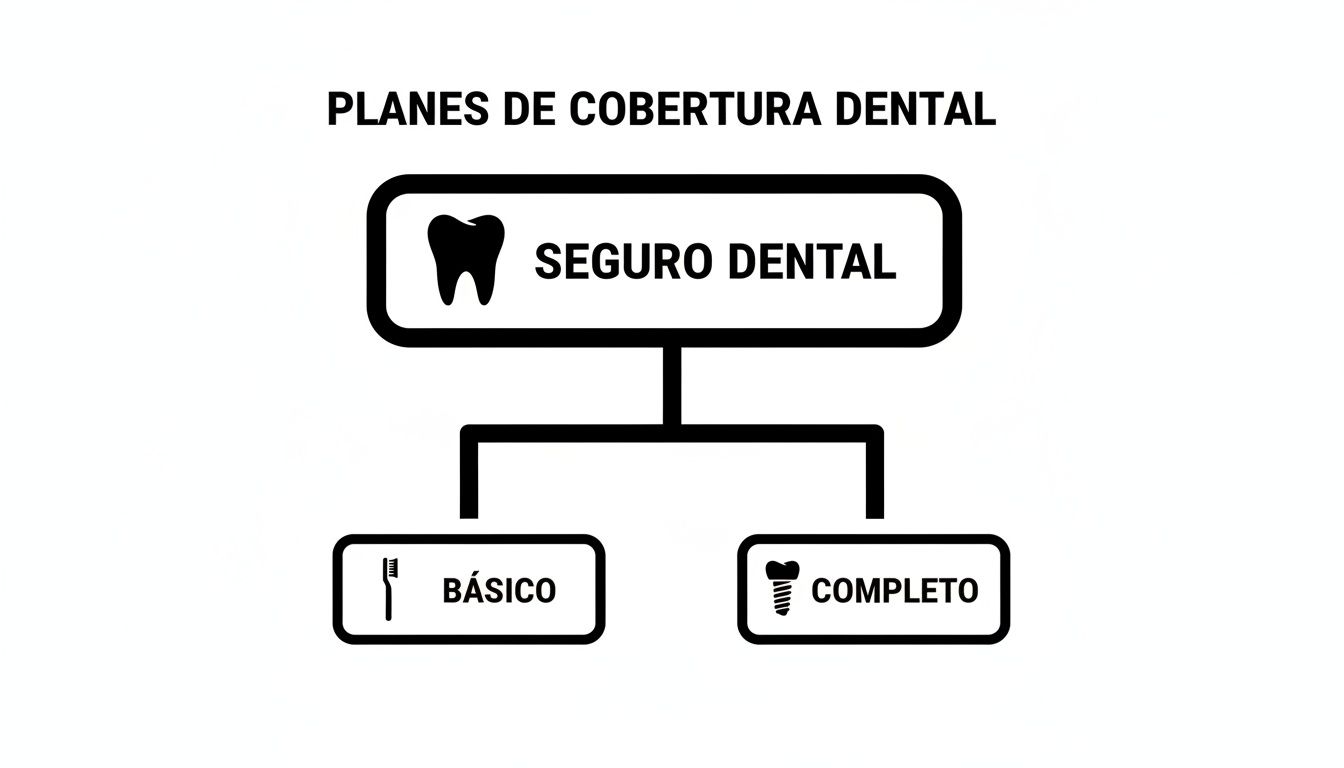 La guía definitiva sobre seguros dentales que cubren todo en España 1 Esquema de seguro dental mostrando planes básico y completo con iconos de cepillo e implante.
