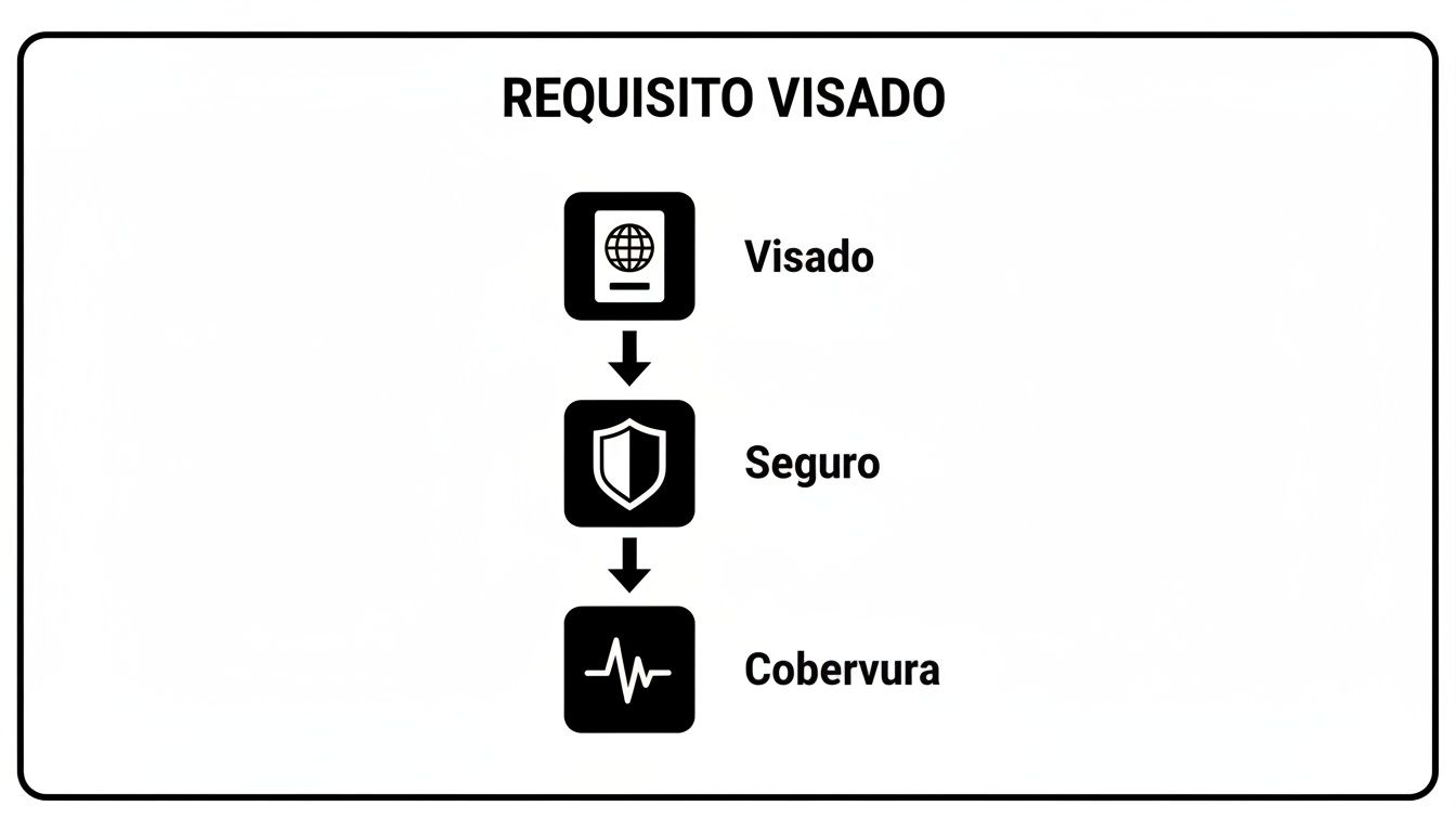 Seguro obligatorio que cubre: todo lo que necesitas para tu visado 1 Un diagrama de flujo ilustra los requisitos de un visado, incluyendo visa, seguro y cobertura.
