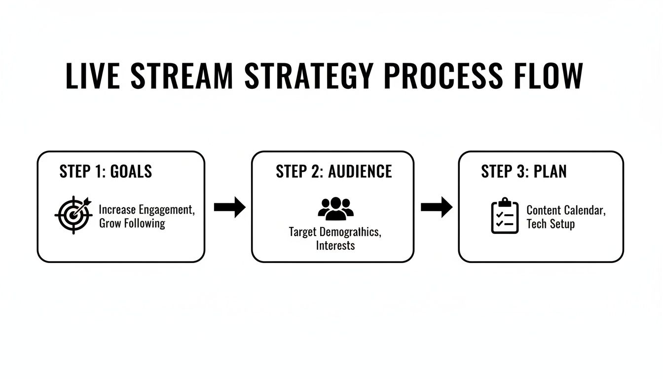 Live stream strategy process flow illustrating goals, audience, and planning steps.